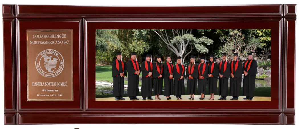 Díptico Grupal Piramidal